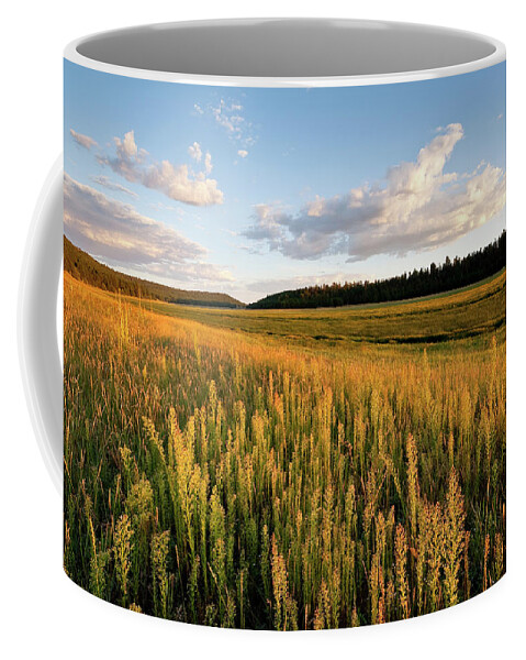 Arizona Coffee Mug featuring the photograph Lower Lake Mary at Sunset by Jeff Goulden