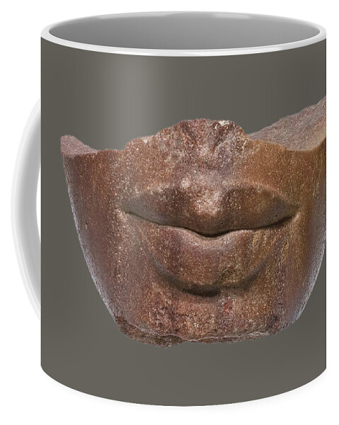 Anatomy Coffee Mug featuring the photograph Lower Part Of A Royal Head, Ancient by Science Source