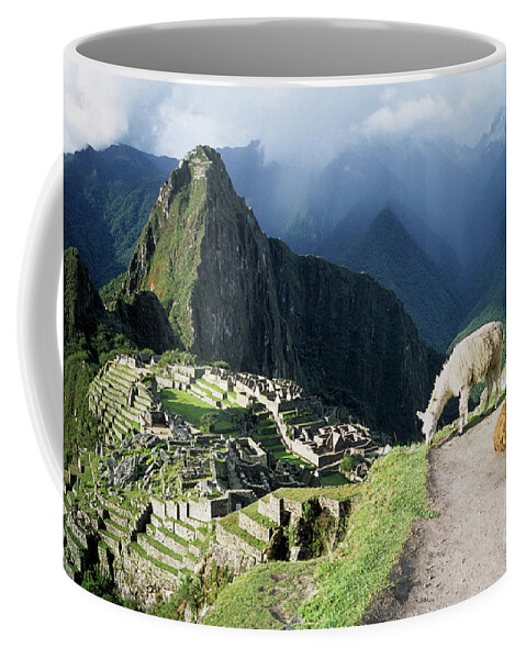 Machu Picchu Coffee Mug featuring the photograph Machu Picchu and llamas by James Brunker