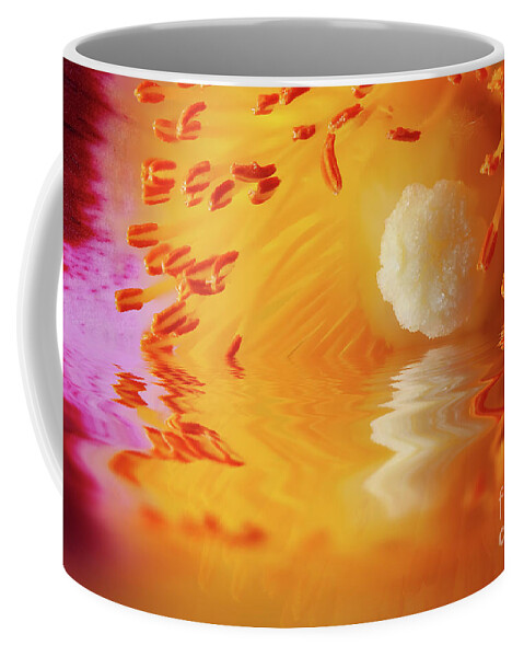 Cistus Coffee Mug featuring the photograph Macro Cistus flower stamen in water by Simon Bratt