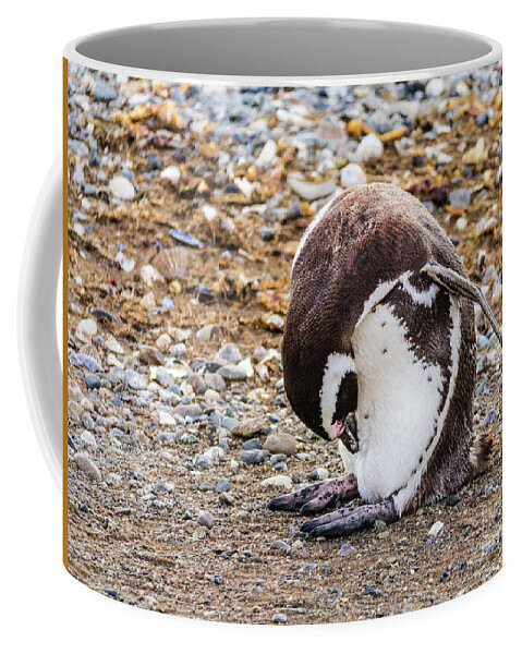 Penguin Coffee Mug featuring the photograph Magellan penguin on the Isla Magdalena, Chile by Lyl Dil Creations