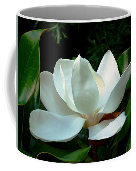 Southern Magnolia Coffee Mug featuring the photograph Magnolia Closeup Bright by Mike McBrayer