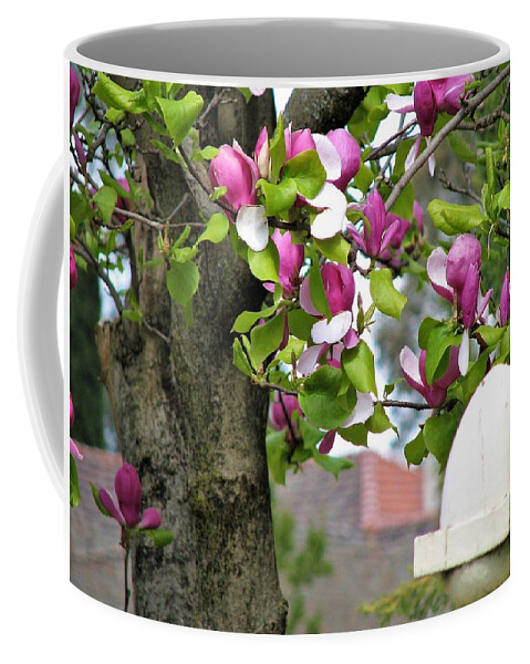 Garden View Coffee Mug featuring the photograph Magnolia Display by Joan Stratton