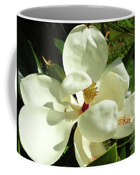 Magnolia Coffee Mug featuring the photograph Magnolia Blossom 2019 by Eunice Warfel