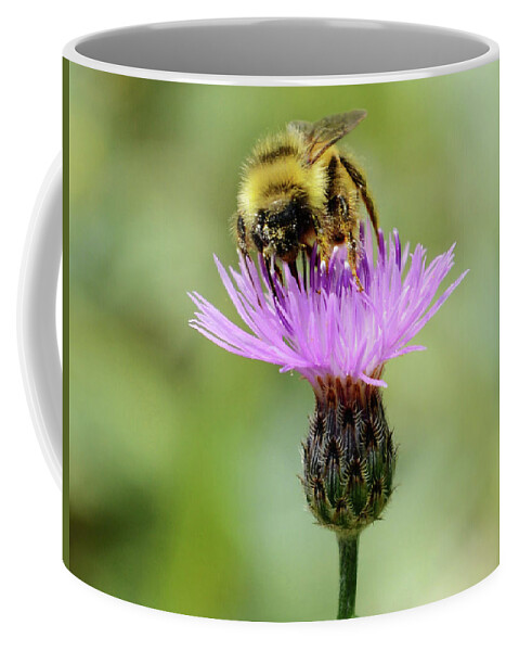 Bee Coffee Mug featuring the photograph Making Honey by Whispering Peaks Photography
