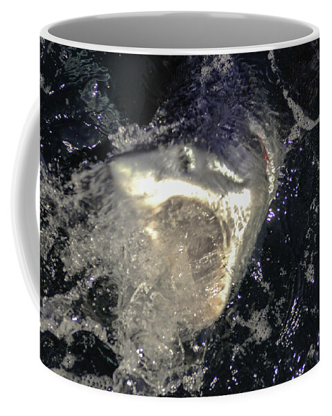 Mako Sharks Coffee Mug featuring the photograph Mako Shark coming to greet us by David Shuler