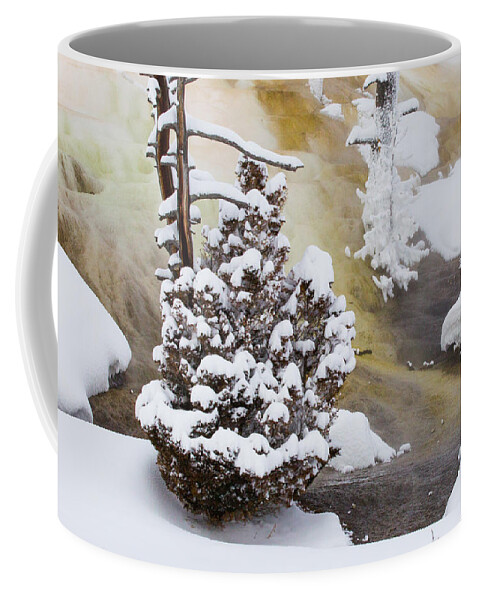 Sebastian Kennerknecht Coffee Mug featuring the photograph Mammoth Hot Springs In Winter by Sebastian Kennerknecht