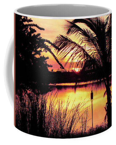 Landscape Coffee Mug featuring the photograph Manatee River Sunset by Susan Hope Finley
