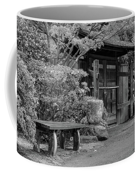 Japanese Garden Coffee Mug featuring the photograph Many Choices by Briand Sanderson
