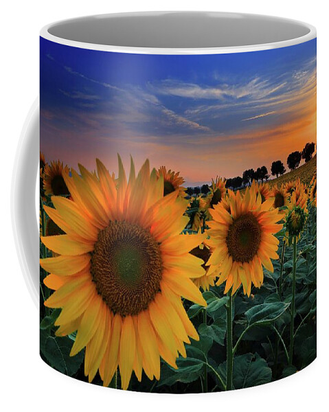Estock Coffee Mug featuring the digital art Marches, Morrovalle, Italy by Francesco Russo