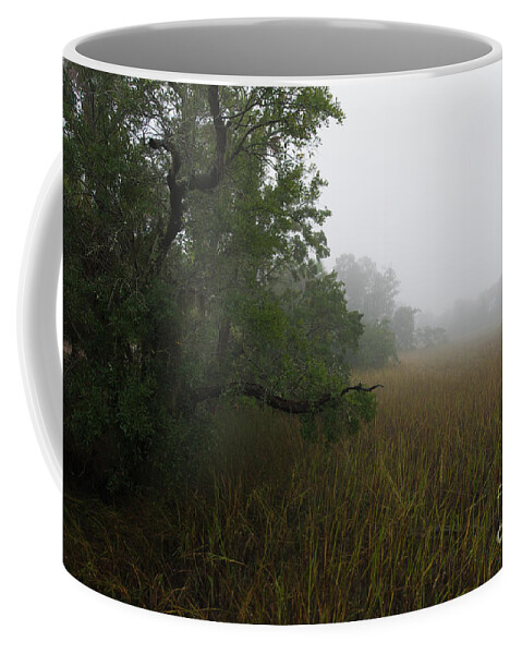 Fog Coffee Mug featuring the photograph Marsh Fog - Rivertowne on the Wando by Dale Powell