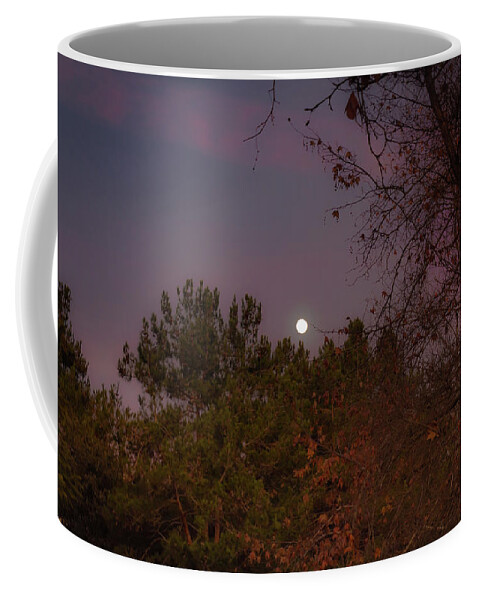 Moon Coffee Mug featuring the photograph Marvelous Moonrise by Alison Frank