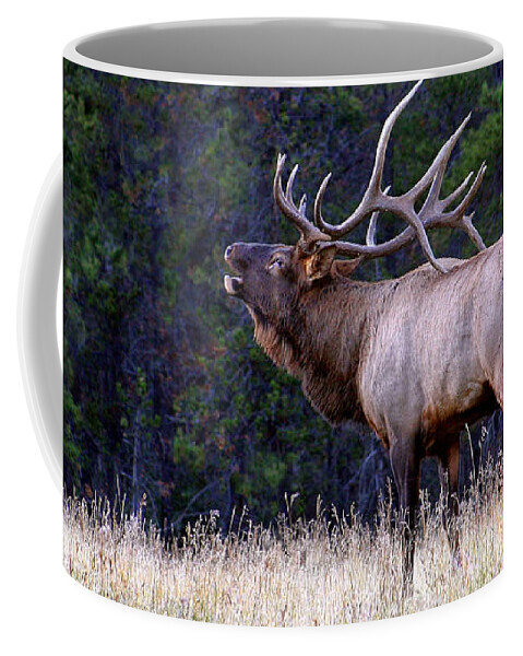 Wapiti Coffee Mug featuring the photograph Massive Bull Elk Bugling in Fall Rut Breeding Season by Robert C Paulson Jr