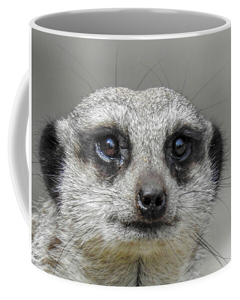 Large 15 oz Ceramic Coffee Mug Meerkats Mug 
