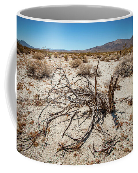 Anza-borrego Desert State Park Coffee Mug featuring the photograph Mesquite in the Desert Sun by Mark Duehmig