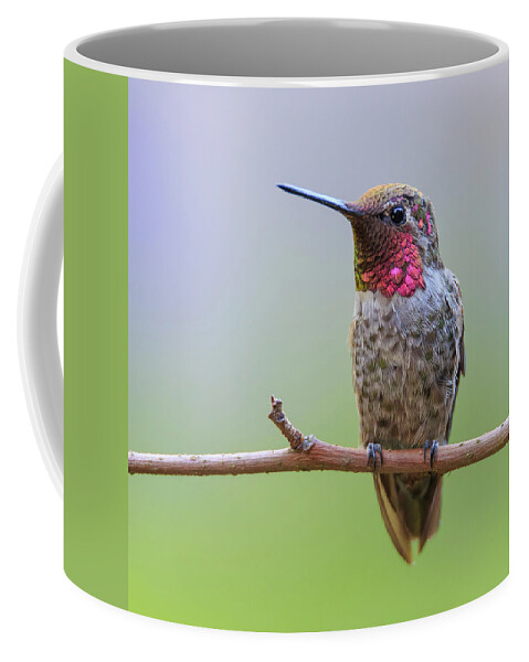 Animal Coffee Mug featuring the photograph Midsummer Night's Dream I by Briand Sanderson