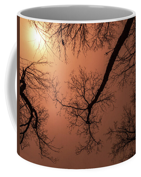 Midwest Trees On Fire Coffee Mug featuring the photograph Midwest Trees on Fire by Jean Noren