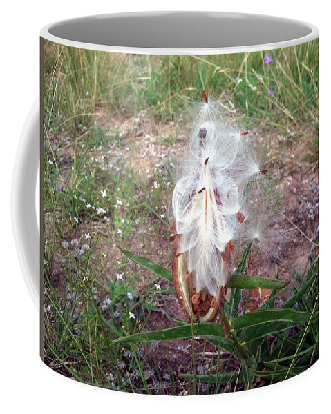 Grass Coffee Mug featuring the photograph Milkweed by Ivars Vilums