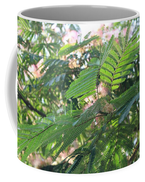 Mimosa Tree Coffee Mug featuring the photograph Mimosa Tree Blooms and Fronds by Christopher Lotito