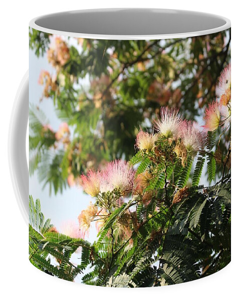 Mimosa Coffee Mug featuring the photograph Mimosa Tree Flowers by Christopher Lotito