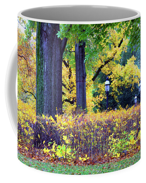 Autumn Coffee Mug featuring the photograph Missouri Botanical Garden by John Lautermilch