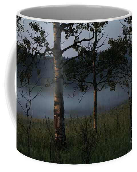 Morning Mist Coffee Mug featuring the photograph Mist by Ann E Robson