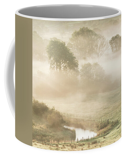 Mist Coffee Mug featuring the photograph Mist in the Vale by Anita Nicholson