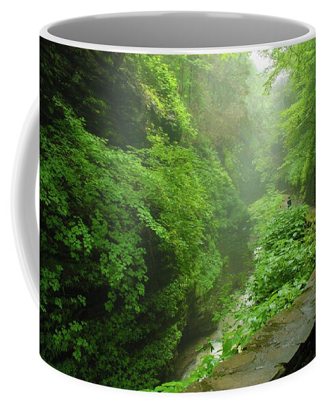 Nunweiler Coffee Mug featuring the photograph Misty Evening at Watkins Glen by Nunweiler Photography