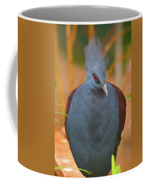 Mohawk Blue Bird Coffee Mug featuring the photograph Mohawk Blue Bird by Linda Sannuti