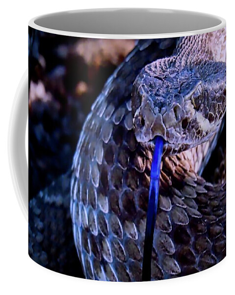 Affordable Coffee Mug featuring the photograph Mojave by Judy Kennedy