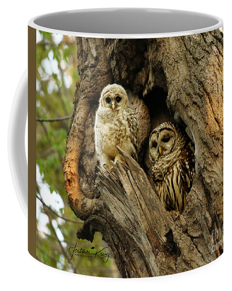 Baby Owl Coffee Mug featuring the photograph Mom and her baby owl by Heather King