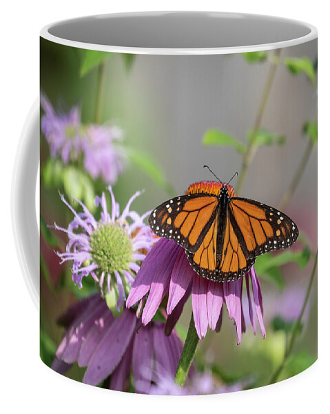 Monarch Butterfly Coffee Mug featuring the photograph Monarch 2019-3 by Thomas Young