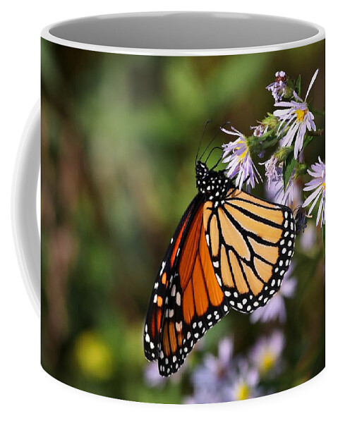 Monarch Coffee Mug featuring the photograph Monarch Butterfly II 2018 by Carol Montoya