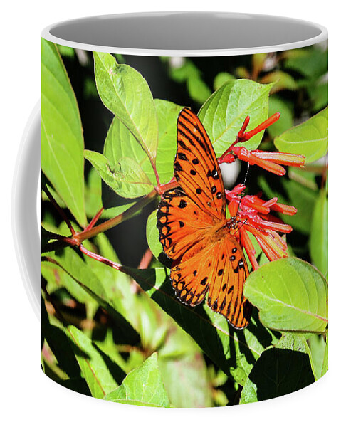 Butterfly Coffee Mug featuring the photograph Monarch by Rick Redman