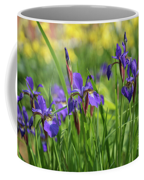 Blue Wild Irises Coffee Mug featuring the photograph Monet's' Sea Of Love by Mary Lou Chmura