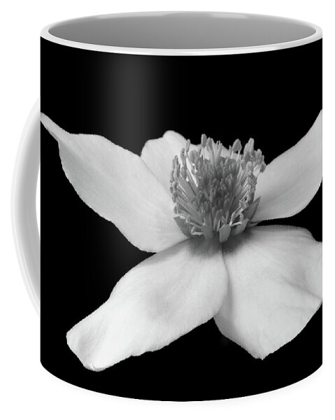 Helleborus Coffee Mug featuring the photograph Monochrome Helleborus by Terence Davis