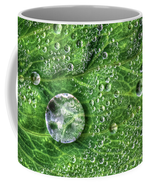Dew Coffee Mug featuring the photograph Morning Dew by Brad Bellisle