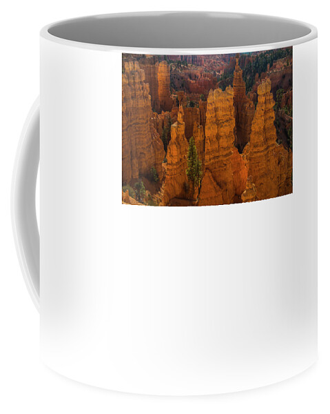 Bryce Coffee Mug featuring the photograph Morning Glow II by Doug Scrima