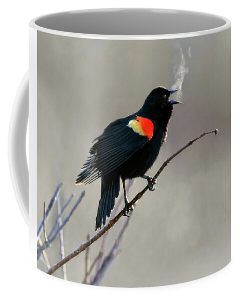 Blackbird Coffee Mug featuring the photograph Morning Heat by Art Cole