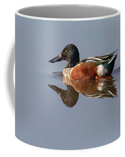 Duck Coffee Mug featuring the photograph Morning Swim by Art Cole