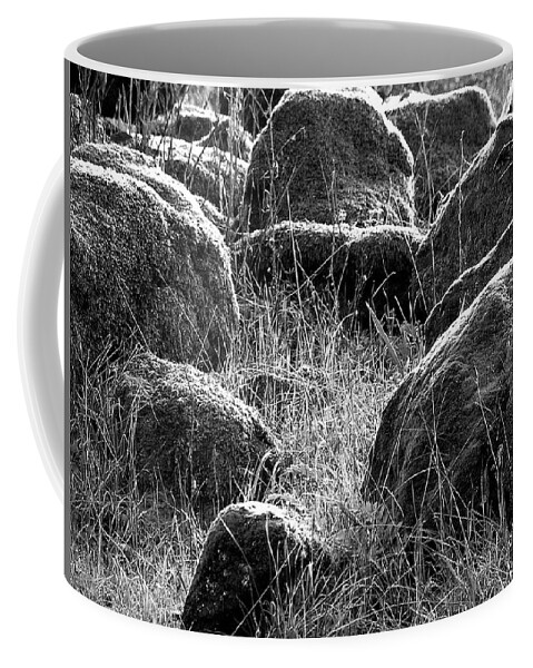 Rocks Coffee Mug featuring the photograph Mossy Rocks by Glory Ann Penington