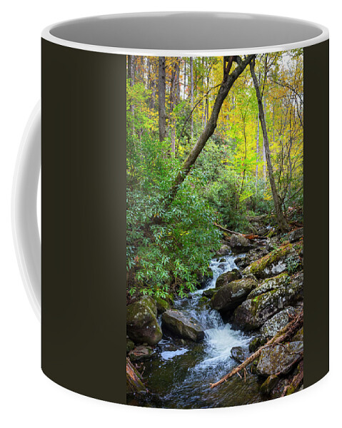 Appalachia Coffee Mug featuring the photograph Mossy Stream Under the Trees by Debra and Dave Vanderlaan