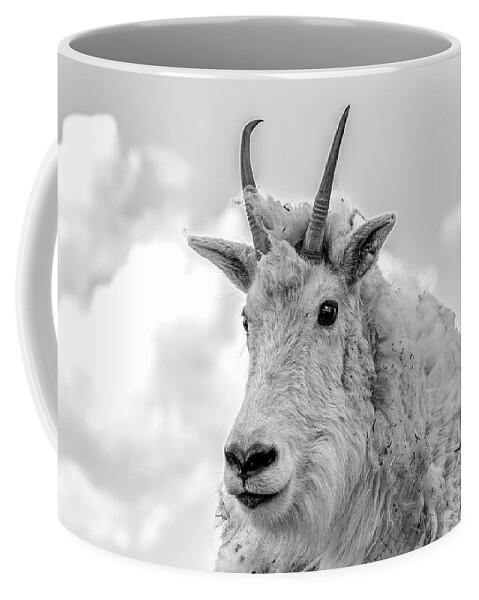Mountain Goat Coffee Mug featuring the photograph Mountain Goat in Black and White by Mindy Musick King