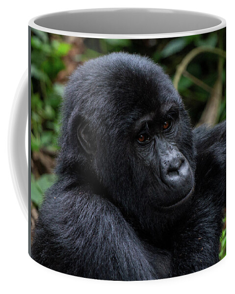 Mountain Gorilla Coffee Mug featuring the photograph Mountain Gorilla by Peter Kennett