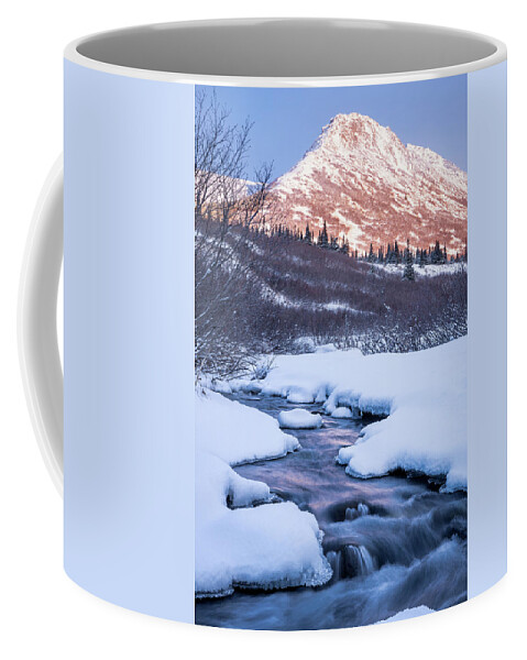 Ice Coffee Mug featuring the photograph Mountain Stream in Winter by Tim Newton