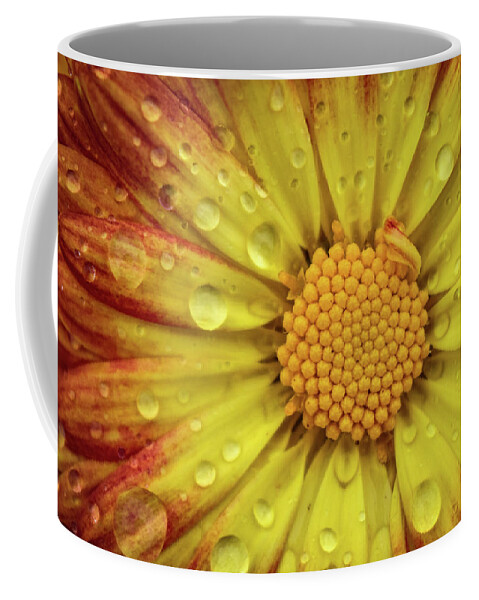 Flower Coffee Mug featuring the photograph Mum by Michelle Wittensoldner