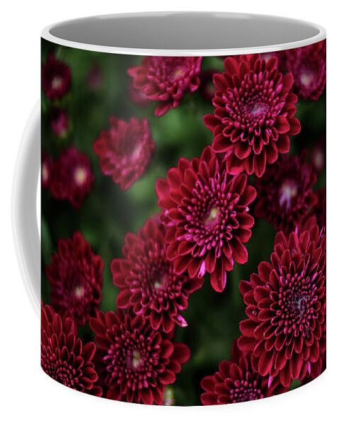 Chrysanthemum Coffee Mug featuring the photograph Mums by Stamp City