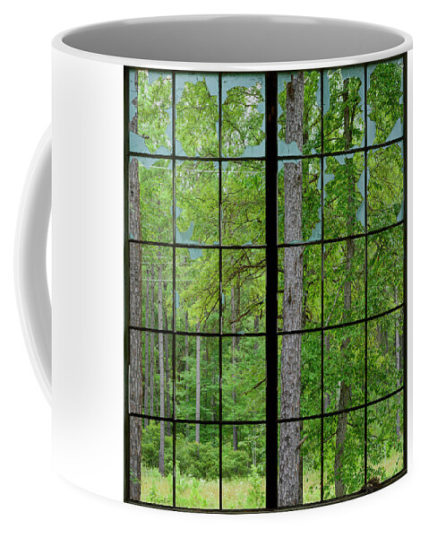 Abandoned Coffee Mug featuring the photograph Muntin Wood by James Covello
