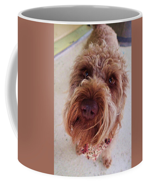 Murphy Coffee Mug featuring the painting Murphy by Fred Bailey