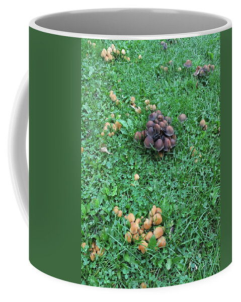 Mushrooms Coffee Mug featuring the photograph Mushrooms No. 1 by Boyd Carter